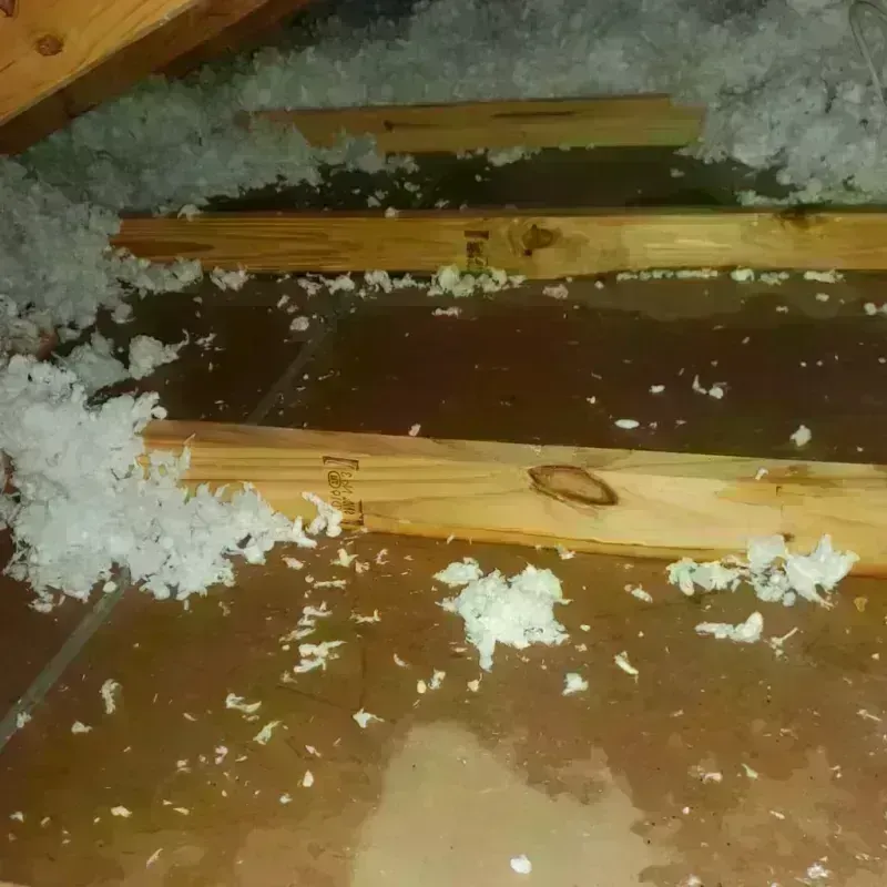 Attic Water Damage in Donald, OR