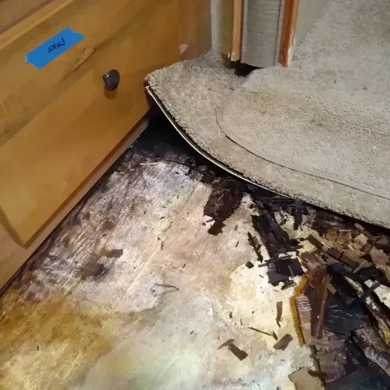 Wood Floor Water Damage in Donald, OR